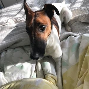 Meet your Posher, Mariya